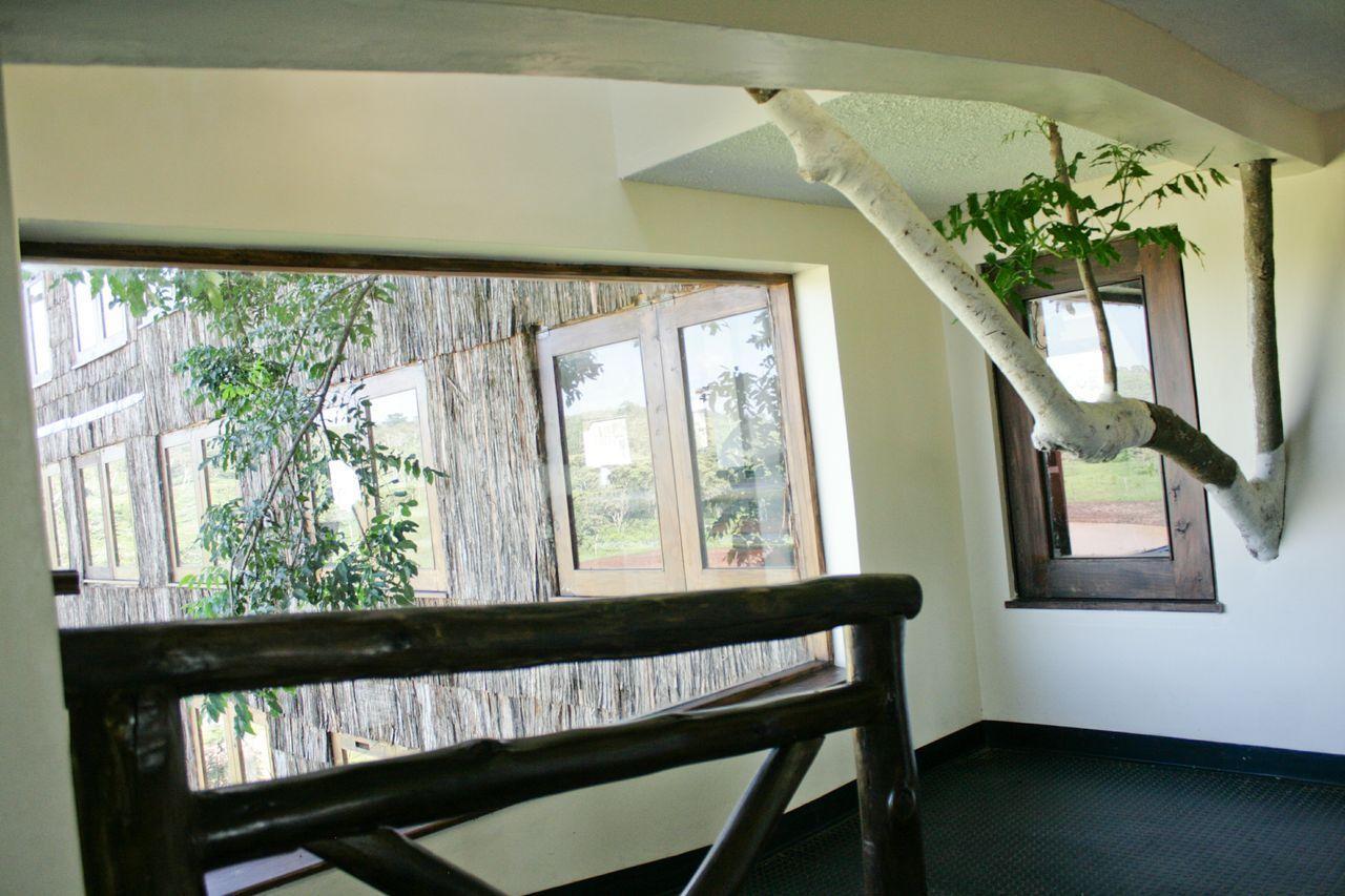 Treetops Mweiga Exterior foto