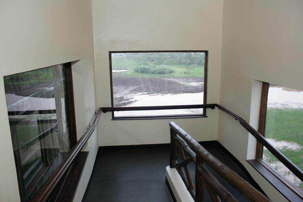 Treetops Mweiga Exterior foto